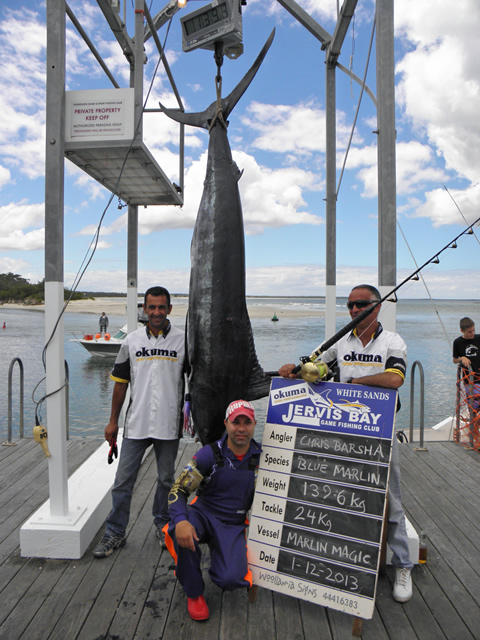 ANGLER: Chris Barsha SPECIES: Blue Marlin  WEIGHT: 139.6 Kg. LURE: JB Lures, Dingo - Purple Head - Lilac Skirt